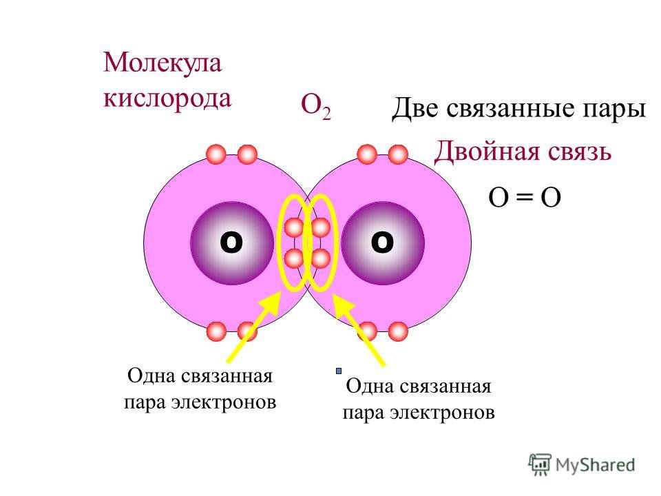 Молекуле кислорода двойная связь