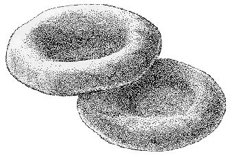 Эритроцит черно белый