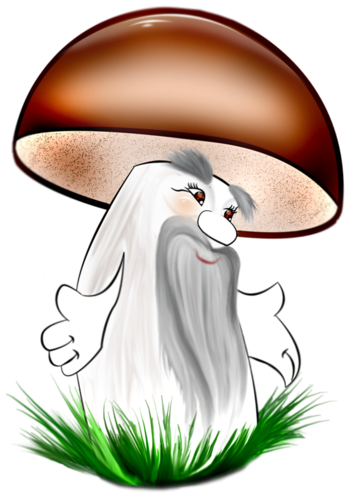 Гриб боровик рисунок (49 фото)