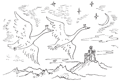 Дикие лебеди Андерсен раскраска для детей