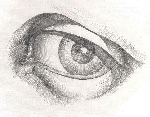 Академическое рисование глаз