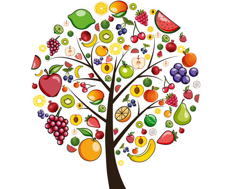 Плоды чудо дерево сканворд 5. Чудо дерево. Фрукты на деревьях для детей. Чудо дерево с фруктами. Фруктовые деревья для детей.