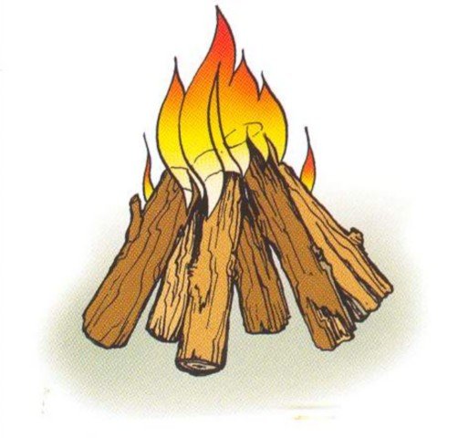 Вид костра шалаш