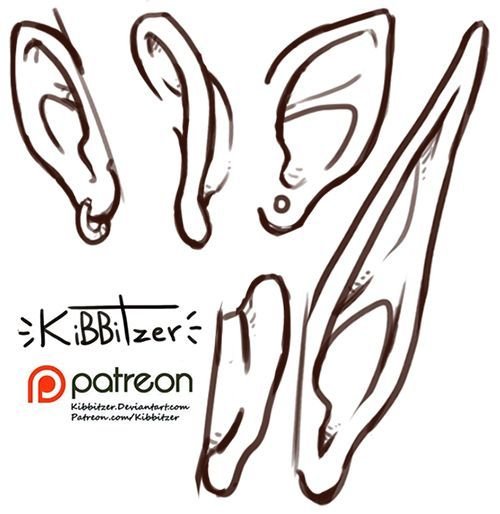 Строение ушей эльфа