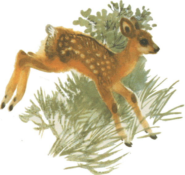 Емеля-охотник мамин-Сибиряк