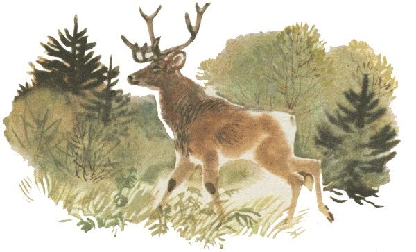 Емеля-охотник мамин-Сибиряк