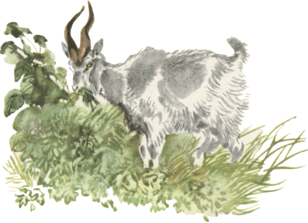 Мамин Сибиряк Емеля охотник иллюстрации