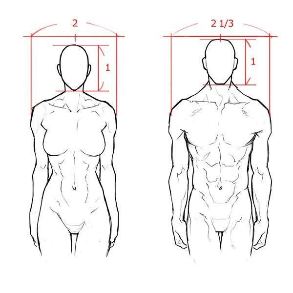 Человек в профиль референс в полный рост