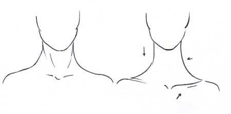 Нарисовать шею