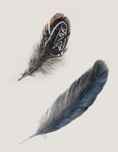 Перо Воробьев