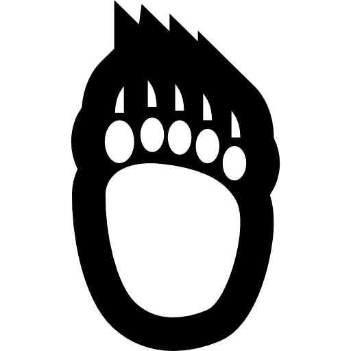 Следы медведя