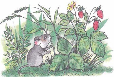 Бианки в.в. "мышонок пик"