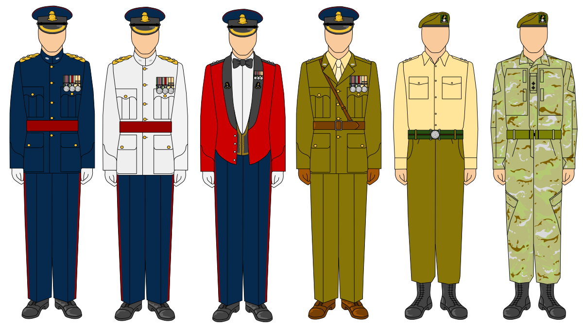 Военная форма особенности. Парадная униформа армии Великобритании. Парадная форменная одежда армии Великобритании. Различная Военная форма. Современная Военная форма.