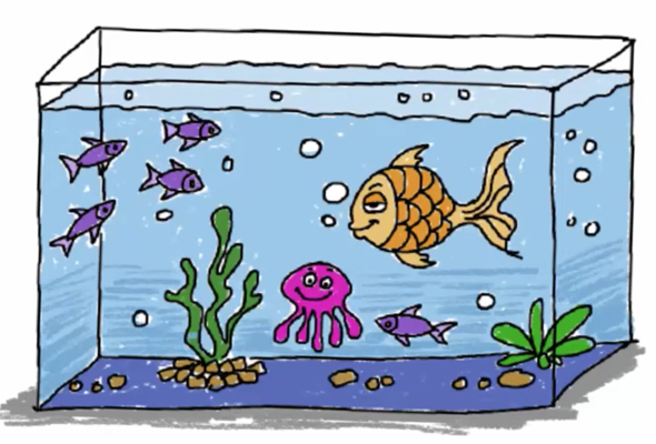 Аквариум пустой