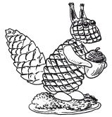 Рисунок из шишек