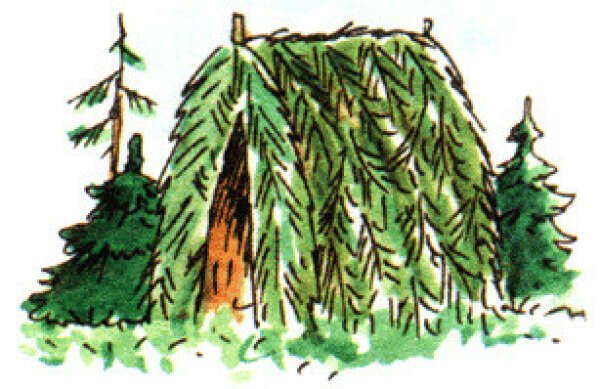 Шалаш рисунок