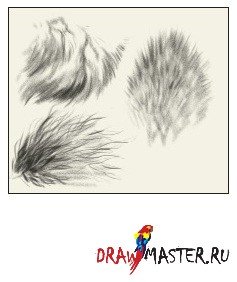 Зарисовки шерсти животных
