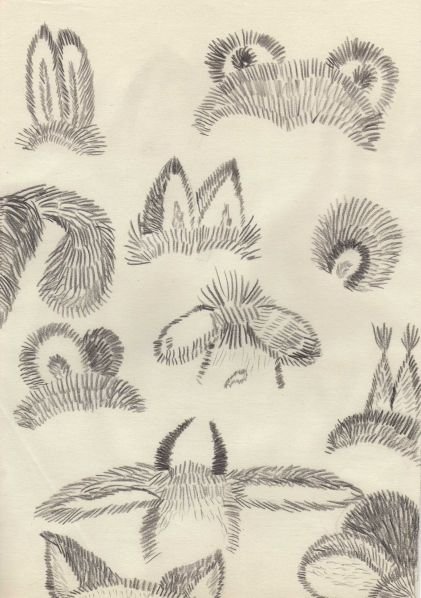 Зарисовки шерсти животных