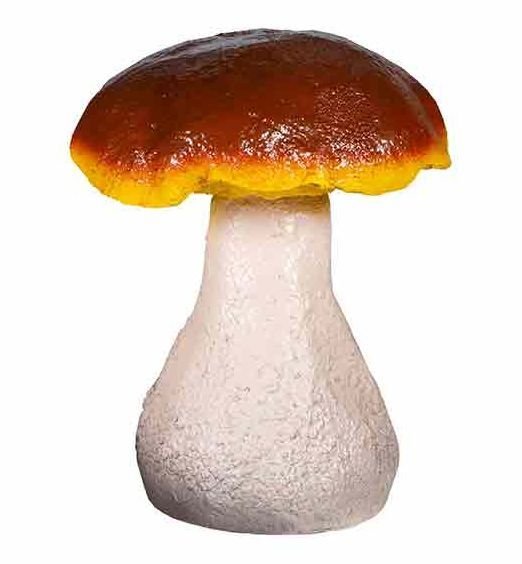 Гриб масленок для детей