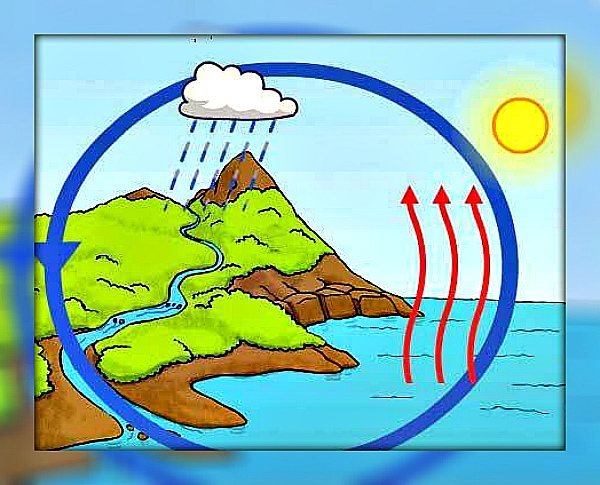 Круговорот воды в природе рисунок