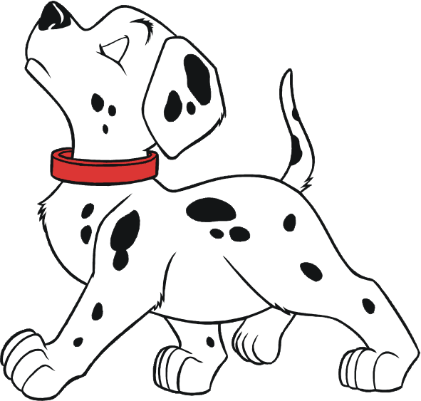 Далматинец сзади