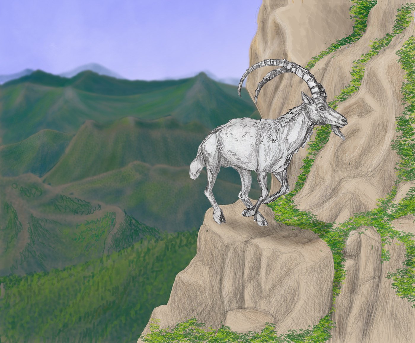Рисунок горного козла в горах