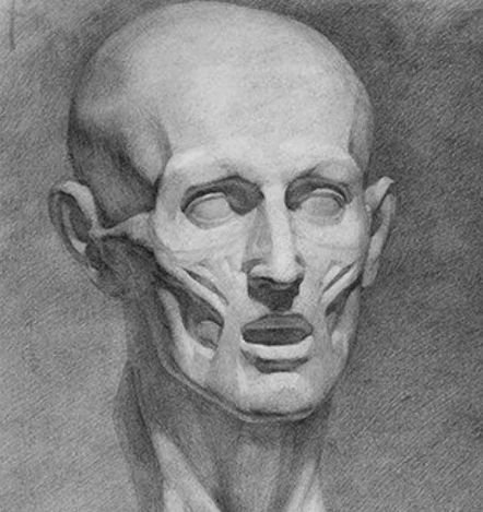 Экорше Гудона Академия художеств