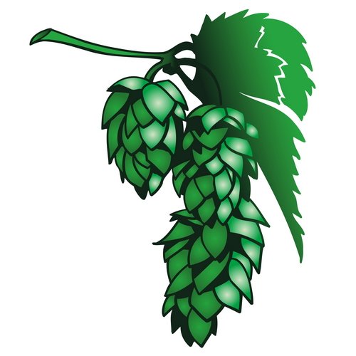 Хмель нарисованный