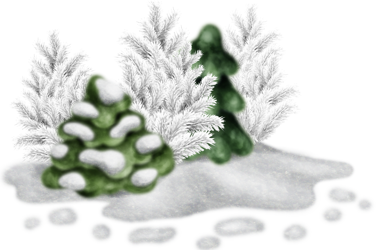 Сугроб рисунок. Зима клипарт. Мультяшные елки в снегу. Зимний клипарт на прозрачном фоне. Зимняя ель на прозрачном фоне.