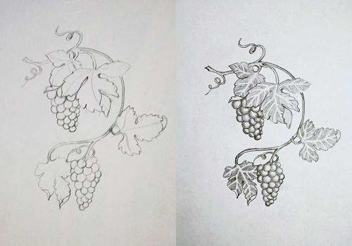 Виноград в древней Греции