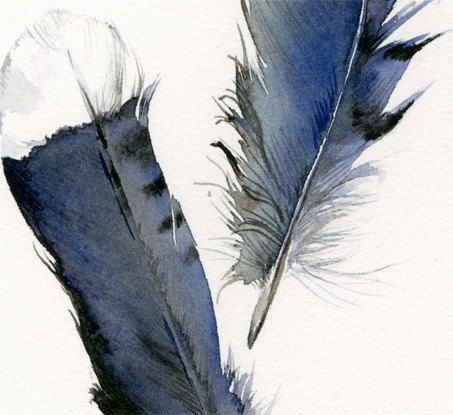Перо птицы для рисования