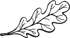 Лист дуба трафарет для вырезания