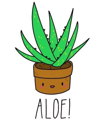 Кавайное алоэ