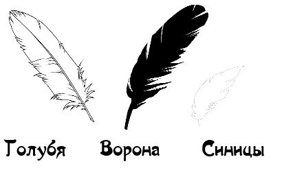 Перо голубя рисунок