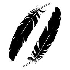 Перо ворона