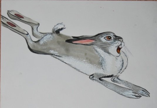 Бегущий заяц рисунок