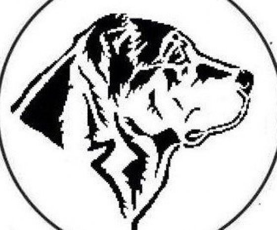 Рисунок алабай (48 фото)