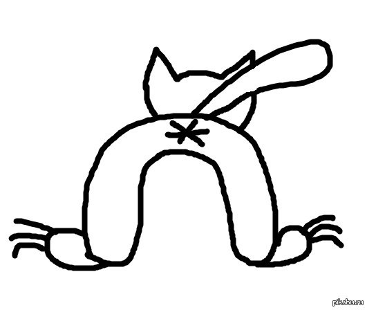 Кот вид сзади