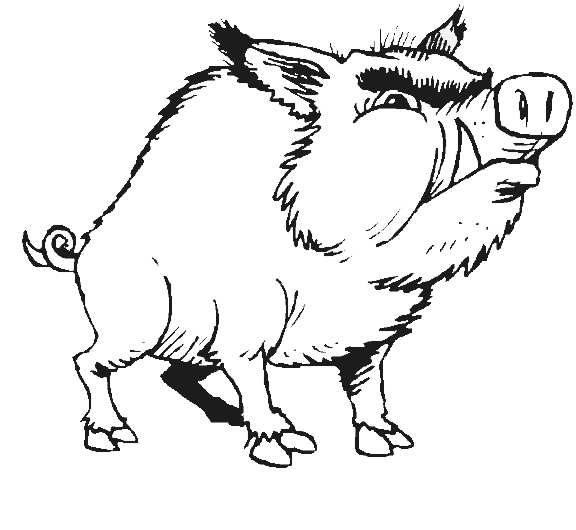 Кабан без фона