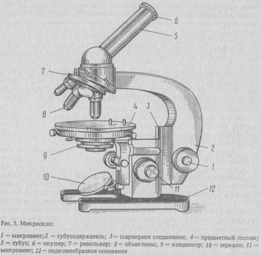 Микроскоп вид сбоку чертеж