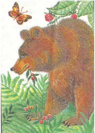 Сказка Паустовского дремучий медведь