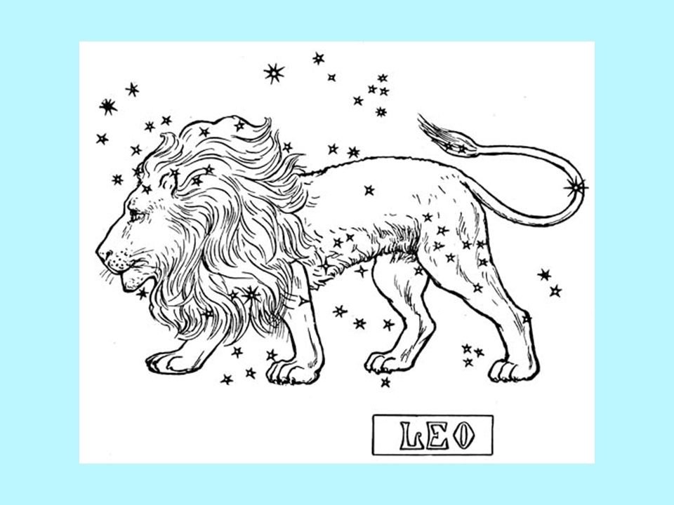 Созвездие льва окружающий мир 1 класс рисунок