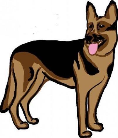 Овчарка раскраска