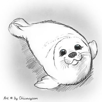 Нерпа карандашом