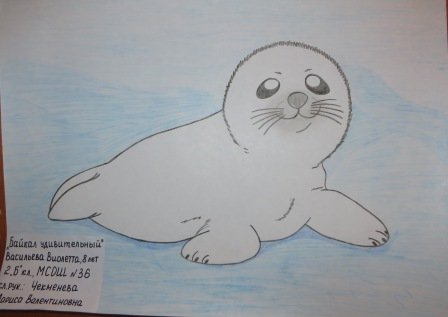 Рисование в старшей группе Байкальская Нерпа