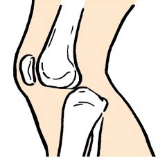 Вывих плечевой кости механизм травмы