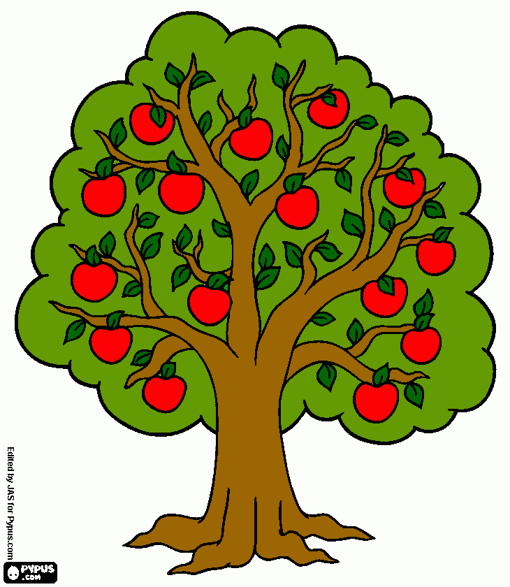 Дерево яблоня рисунок (45 фото) » Рисунки для срисовки и не только