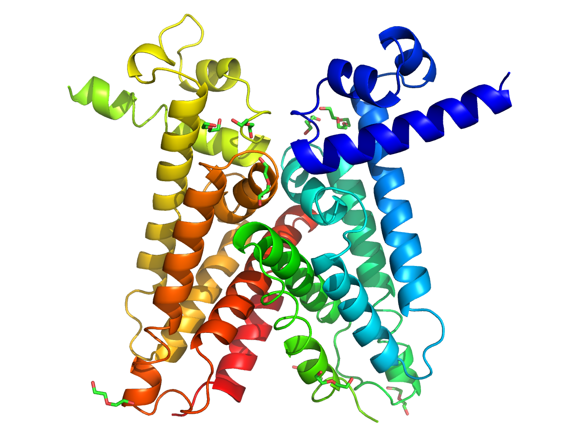 Матричная цепь рнк. МРНК ТРНК И РРНК. Молекула РНК. Одноцепочная молекула РНК. Спираль РНК.