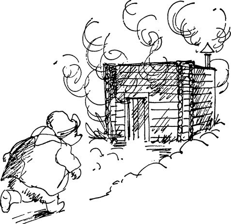 Дым коромыслом