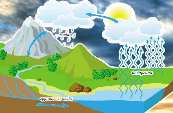 Круговорот воды в природе схема для малышей